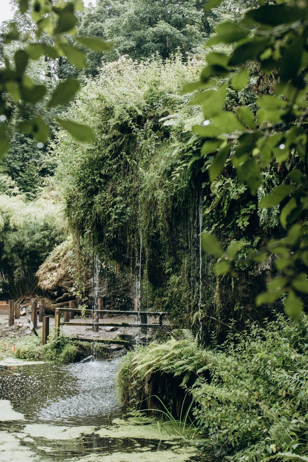Botanical garden pond with cascading waterfall
